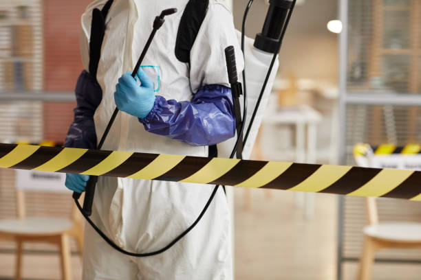 Professional Hoarding Cleanup technician working in Upland, IN